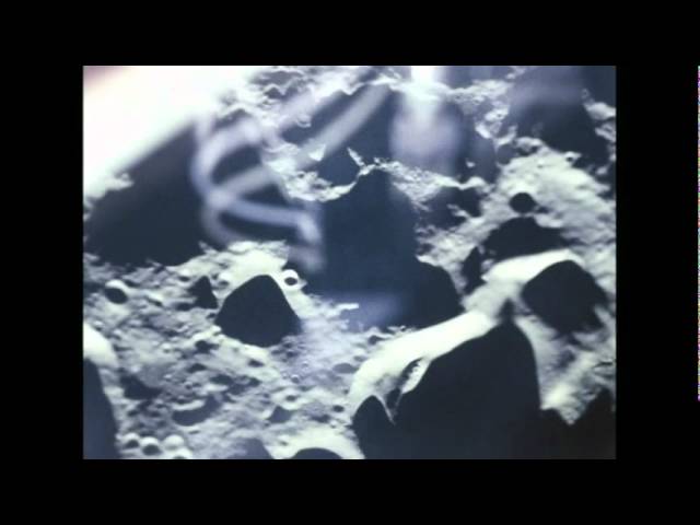 In the Shadow of the Moon