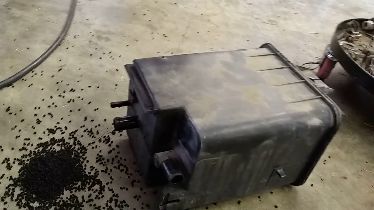 Hyundai charcoal canister, Ride Tonite 🚴😎 YouTube