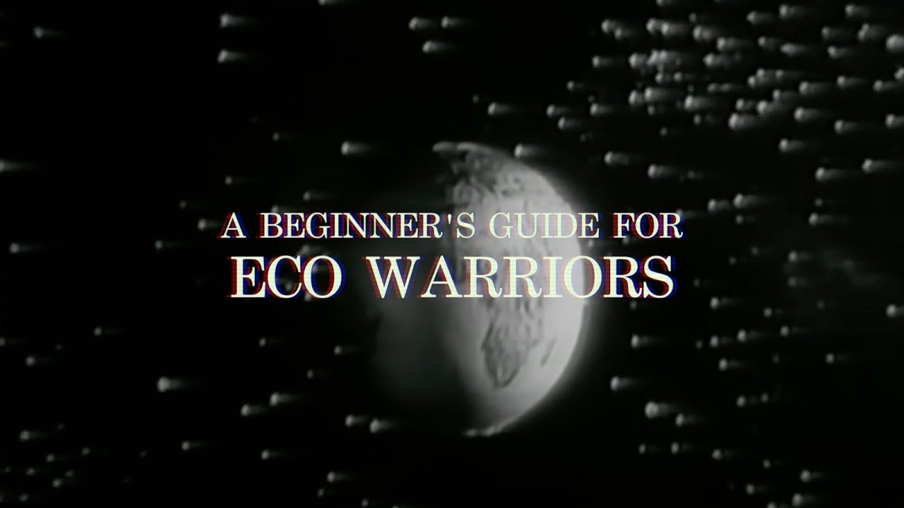 A Beginner's guide for Eco Warriors - YouTube