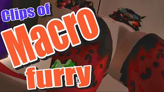 Macro furry community clips #3