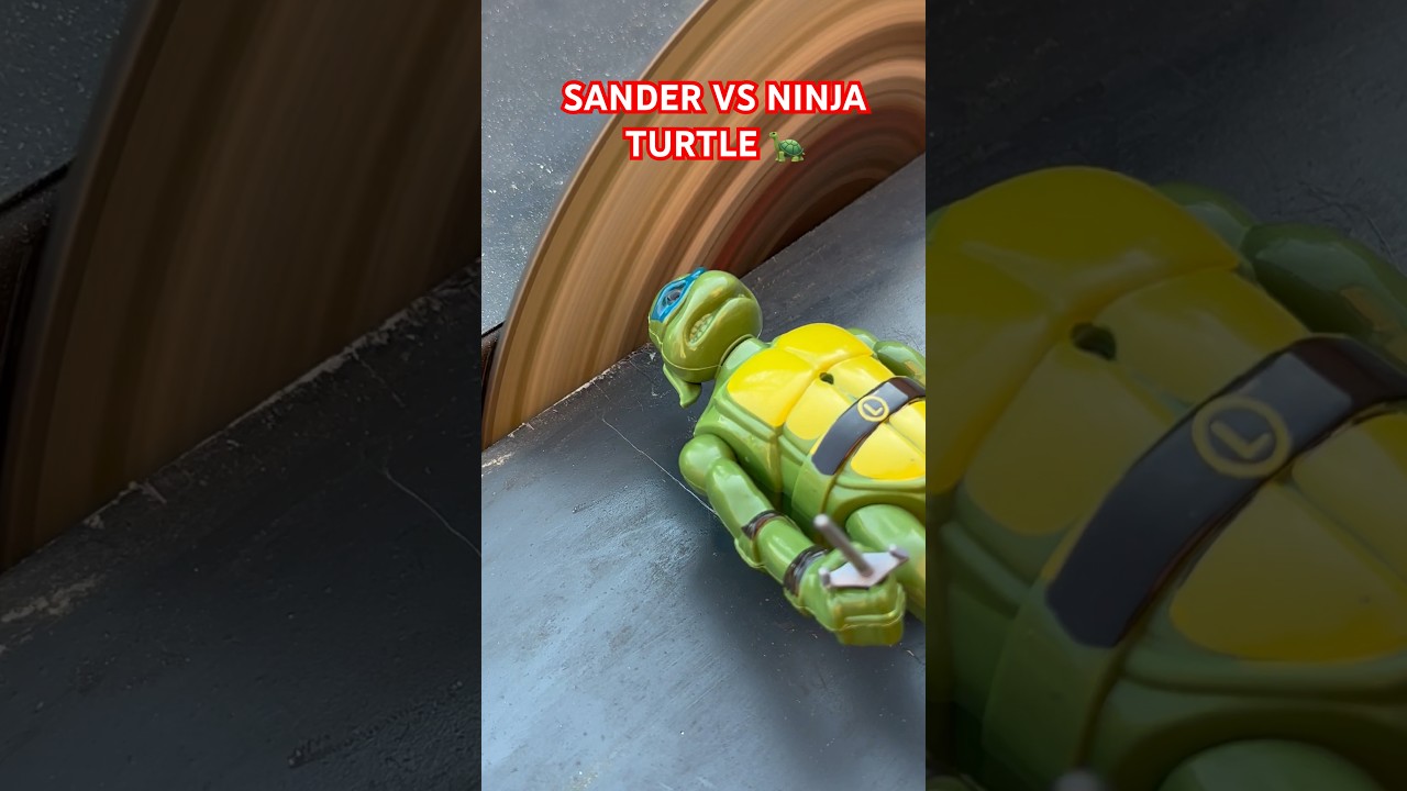 Sander VS Ninja Turtle 🐢 sander satisfaying YouTube