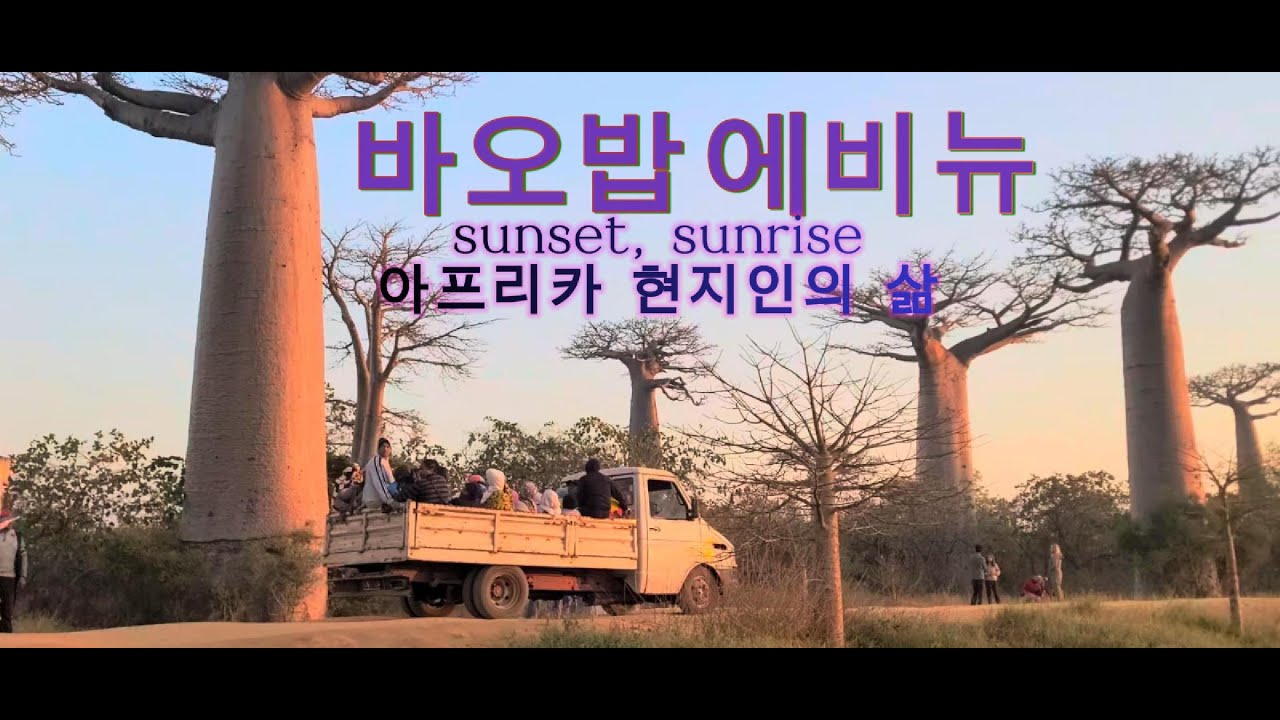 첫 아프리카 신비한 섬나라 마다가스카르 안타나나리보 to 모론다바 18시간 이동, 바오밥에비뉴, 현지인들의 삶의 모습