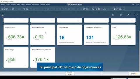 Tablas creadas por el usuario en SAP B1 HANA