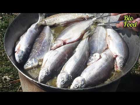 Video: Ձկները տապակելու հեշտ եղանակներ ՝ լինի գետային, թե կարմիր