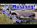 Sweet Mustang action and extra Ford Content!