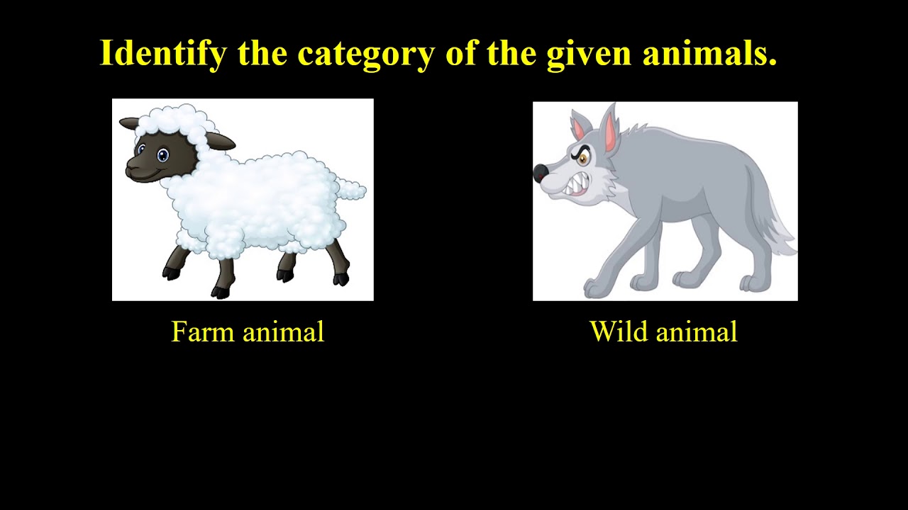 lesson 4 Story The boy who cried wolf - YouTube