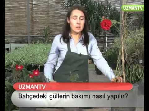 Video: Bahçe Aletinizin Bakımı Nasıl Yapılır?