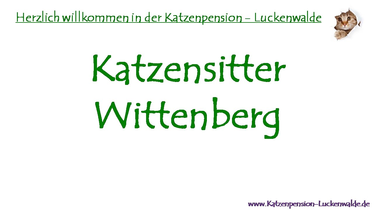 Katzensitter Wittenberg - Katzenpension - Tierpension