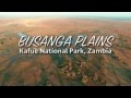 Balloon Safari Over Busanga Plains