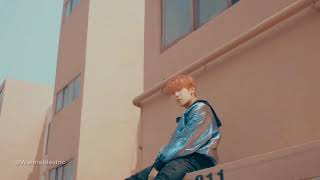 WANNA ONE 워너원 - BEAUTIFUL PT 2 [FMV]