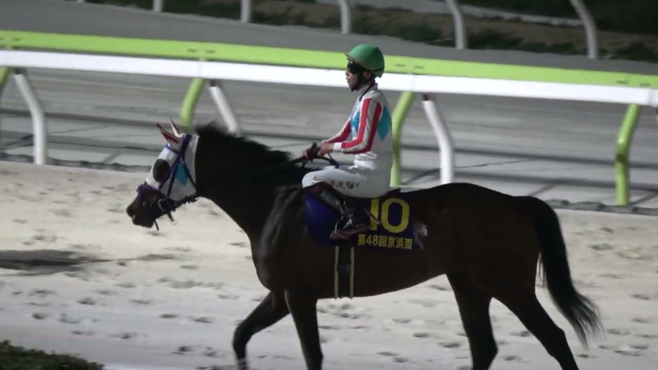 京浜盃2025】圧巻の強さ‼6馬身差の完勝劇‼ ナチュラルライズ 現地映像 