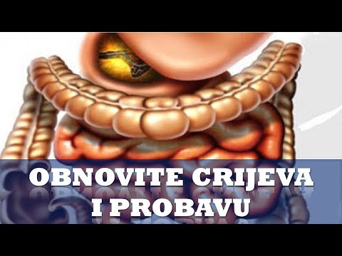 ZAŠTO VAS LAŽU O AMINO KISELINAMA? Prof. dr Mihajlović