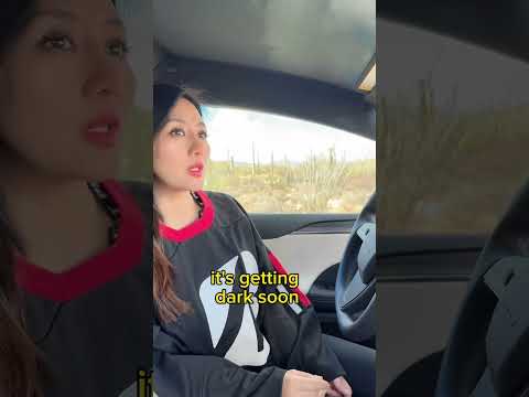 #sketchcomedy #heytesla #heycatce #AIcomedy #teslacheck #funnycargirl