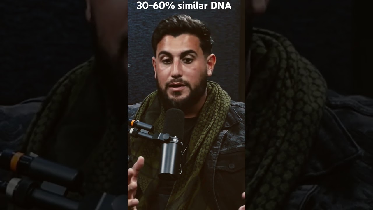 30-90%  of Palestinian are similar to Ancient Israelites genetically 