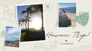 A warm winter in Hawaii! | December 2021