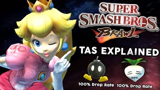 The Super Smash Bros Brawl TAS Is Incredible  Subspace Emissary 100% Explained