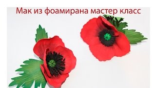 :      | Poppy master class |   