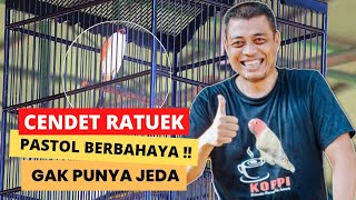 Download Lagu RATUEK DINOBATKAN MENJADI CENDET TERBAIK, JUARA 1, 2, 2❗Mabes Kamulyan 2 || Mr Candra Kartosuro SF Download Lagu RATUEK DINOBATKAN MENJADI CENDET TERBAIK, JUARA 1, 2, 2❗Mabes Kamulyan 2 || Mr Candra Kartosuro SF