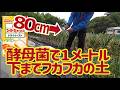 酵母菌培養液で硬盤層を破壊。根を深く張る夏野菜の畝が地下1メートルまで水と空気と栄養を届けるフカフカの畝になる。【ガチガチの畑必見】4/14