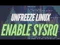 Unfreeze Your Linux System | How To Enable SysRq Keys