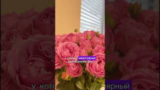 Нерегулярный менструальный цикл, СПКЯ, бесплодие и программа ЭКО