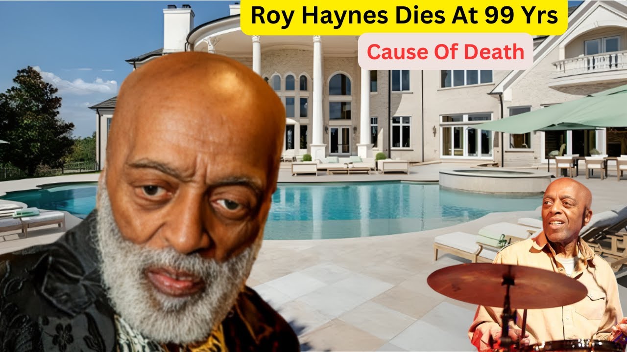 Are Haynes Manuals Worth Anything Ebay