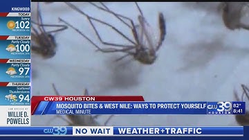 West Nile Virus confirmed in sample taken in Harris County - Medical Minute, Idolina Peralez