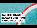 Как проходит велоэргометрия| Техника проведения велоэргометрии| Тест ЭКГ с нагрузкой