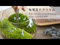 フィギュアを使った牧場苔テラリウムの作り方#30｜How to make a ranch-designed moss terrarium #30