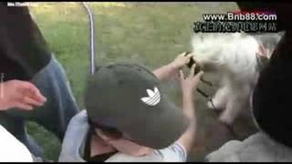 KFWZIASDqw18_chunk_1.wmv4