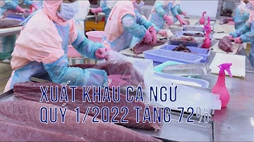 VASEP Highlight - T4/2022: xuất khẩu cá ngừ quý 1/2022 tăng 72%