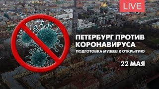 Петербург против коронавируса. Подготовка музеев к открытию