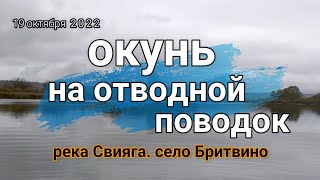 Окунь на отводной поводок. Рыбалка в октябре на реке Свияга.