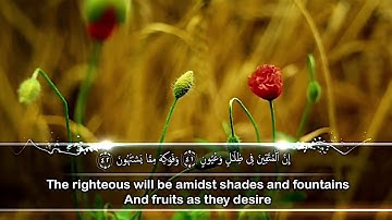 سورة المرسلات#مقام الكرد#محمود الشحات