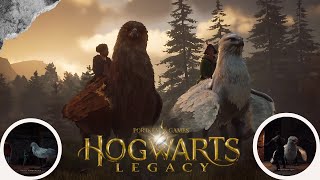 Exploring the Saving & Flying Hippogriff Scene in Hogwarts Legacy