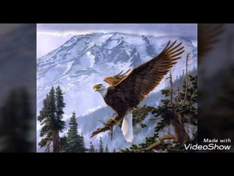 ლექსები არწივზე mix