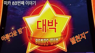 -미스터카지노 83번째 이야기- 🤣못말리는 웨미🥳 & 밤하늘에 별⭐️ 이야기