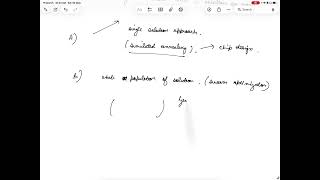 Demystifying Metaheuristics for Real-World Applications in Computer