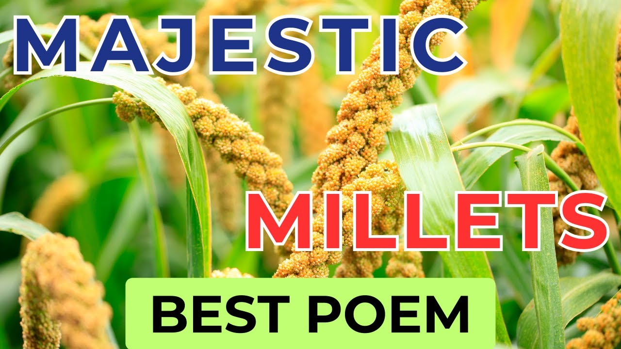 Poem On Majestic Millets English Poetry Recitation Poem On Wonders Of Millets Magic Of