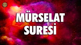 Eğer bir tuzağınız varsa haydi bana tuzak kurun | Mürselat Suresi - Ali Turan Resimi