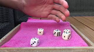 one-roll yahtzee (1 in 1296 chances)