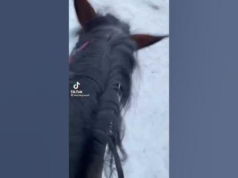 #Shorts Ахах конь чаю;) - YouTube