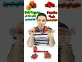 همه چیز در مورد فلفل پاپریکا