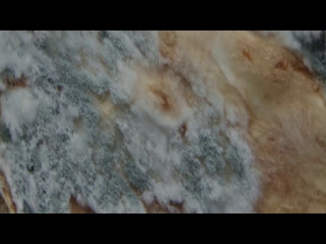 Soap & Skin - Creep