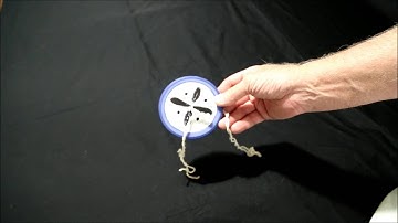 Button Spinners