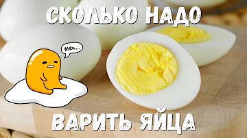 СКОЛЬКО НАДО варить ЯЙЦА