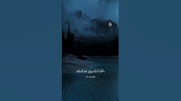 القارئ محمد خالد ##إشتراك ##قران_كريم #quran #islam #fortnite #funny #foryou #اكسبلور #اسيوط 🤍🎧