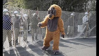 オランウータンを捕まえろ