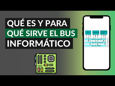 ¿Qué es y Para Qué Sirve el Bus Informático? - Características, Partes y Tipos