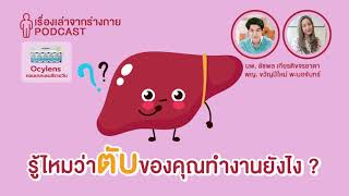 รู้ไหมว่าตับของคุณทำงานยังไง? x Ocylens : [EP.7] เรื่องเล่าจากร่างกาย